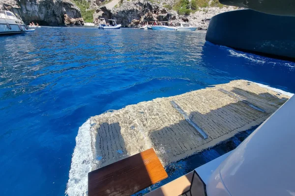 Sealine C390 - Tireless