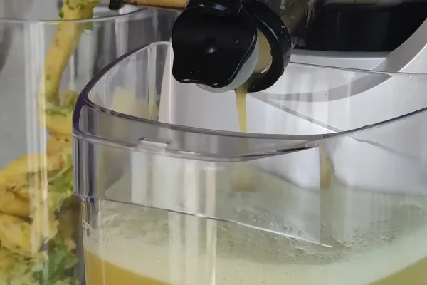 Sunreef 60 - Sinata - Yacht Interior