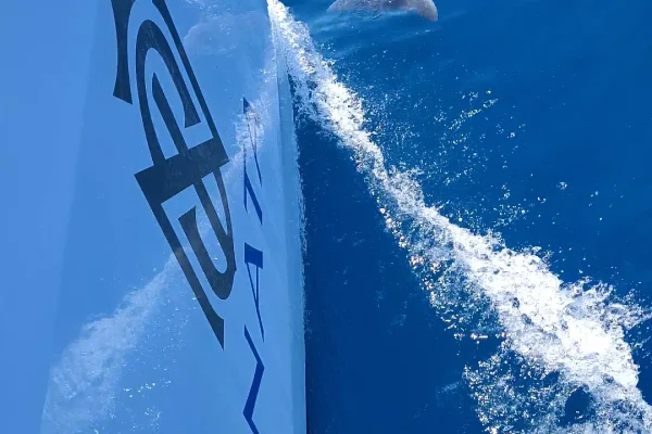 Sunreef 60 - Sinata in Kroatien