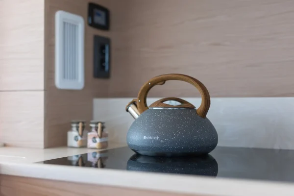 Swift Trawler 41 Felicita mieten